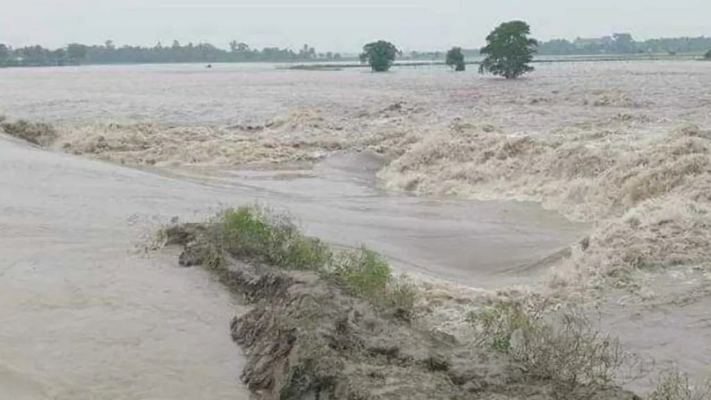 5 rivers flowing above danger level: FFWC
